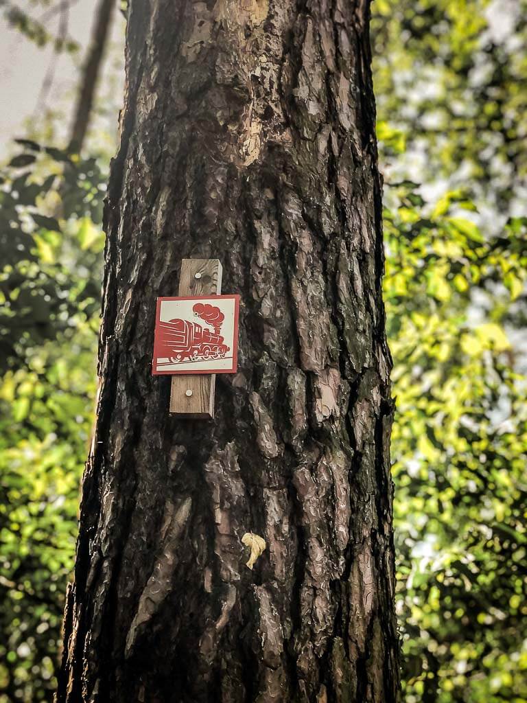 Markierung S&uuml;dharzer Dampfloksteig an einem Baum im Naturpark S&uuml;dharz