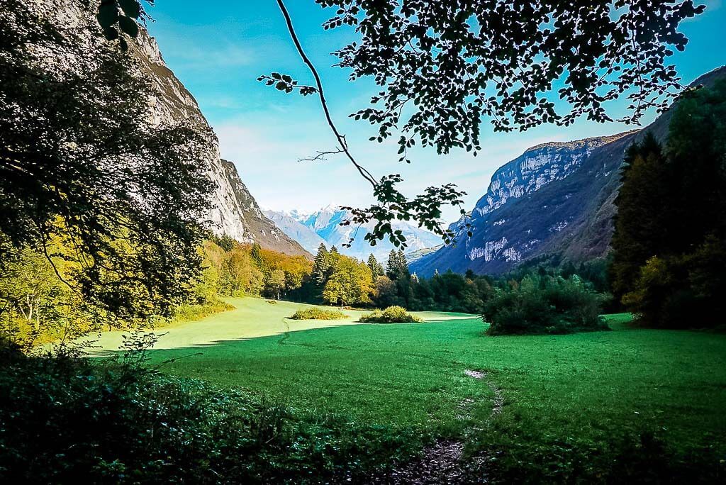 Gr&uuml;ne Wiese und Berglandschaft im Lomasontal im Trentino