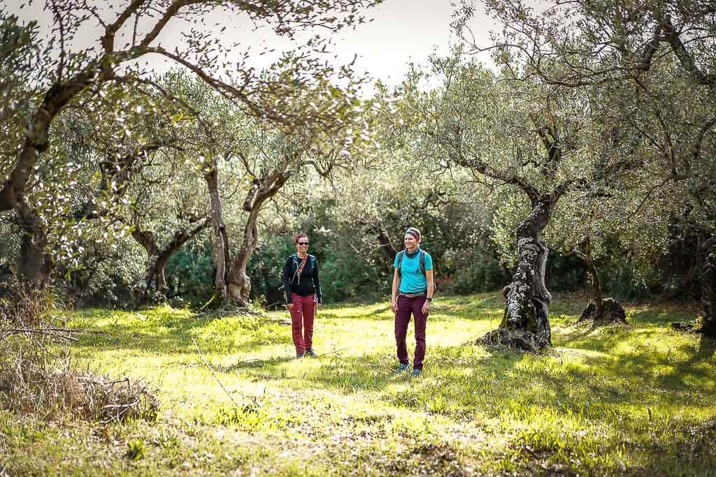 Couchflucht Sabrina Bechtold im Olivenhain bei einer Wanderung nach Casal Velino