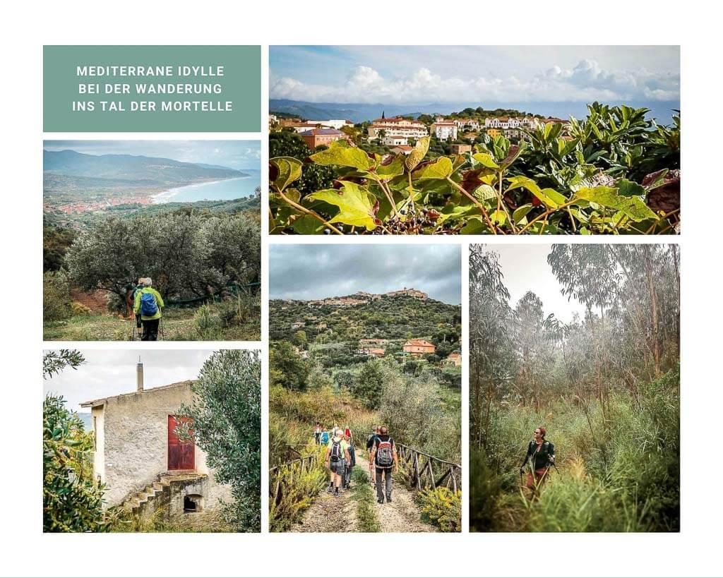 Frosch Sportreisen Wanderung im Cilento Nationalpark zum Mortelle Tal