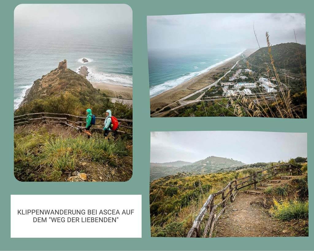 Frosch Sportreisen Cilento Nationalpark Wanderung zu den Klippen bei Ascea auf dem Weg der Liebenden