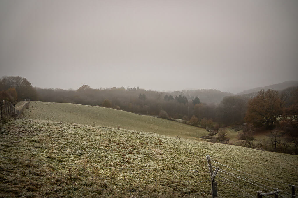 Aussichtsplattform und Weiden im Eiszeitlichen Wildgehege Neandertal