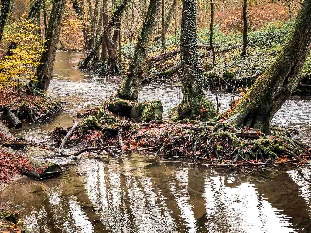 Fluss Duessel beim Wandern im Neandertal