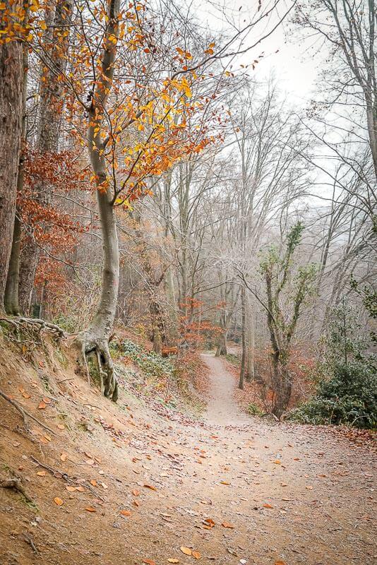 Wandern Rundweg um das Eiszeitliche Wildgehege Neandertal