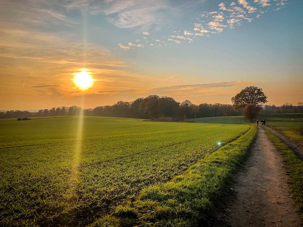 Wandern im Bergischen Land - Feldweg in der Abendd&auml;mmerung