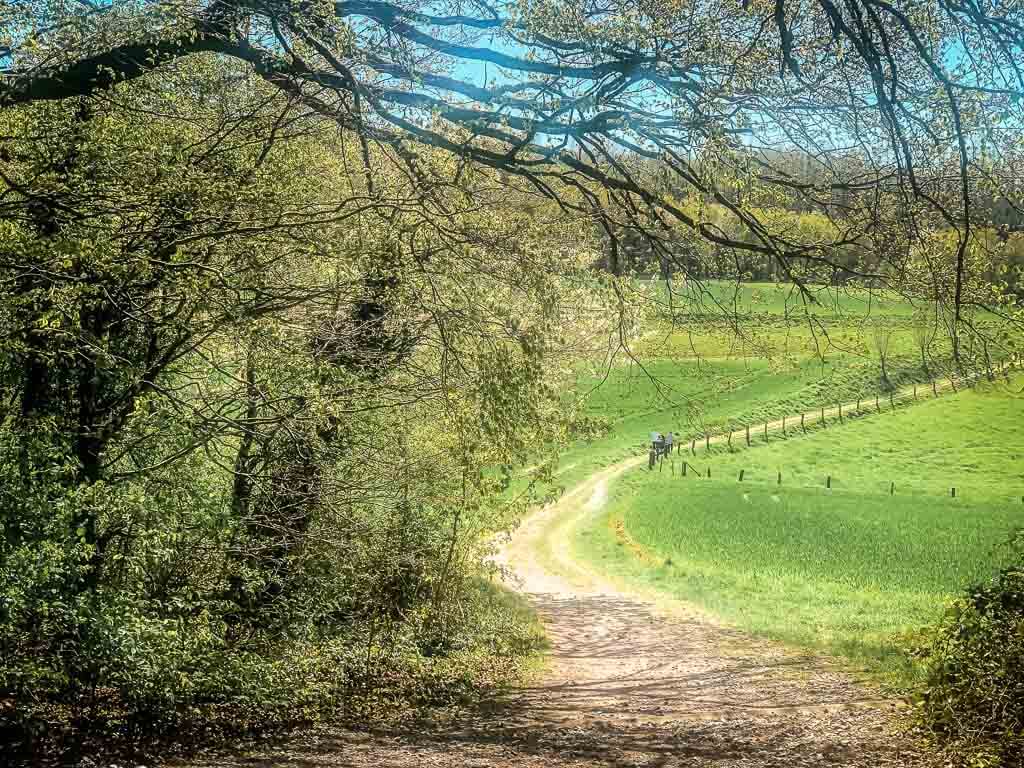 Wandern im Bergischen Land - Landschaftsidylle und Wanderweg bei Velbert in der Elfringhauser Schweiz