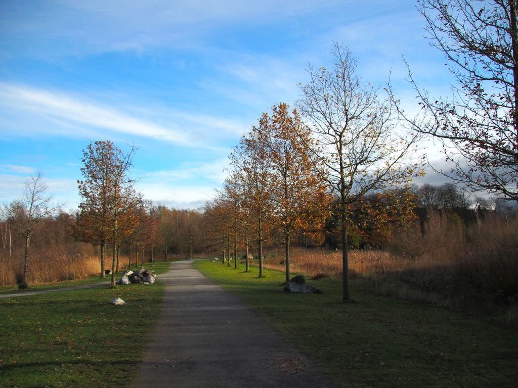 Bergisches Land Wandern bei Velbert rund um den Kalksteinbruch Eignerbach