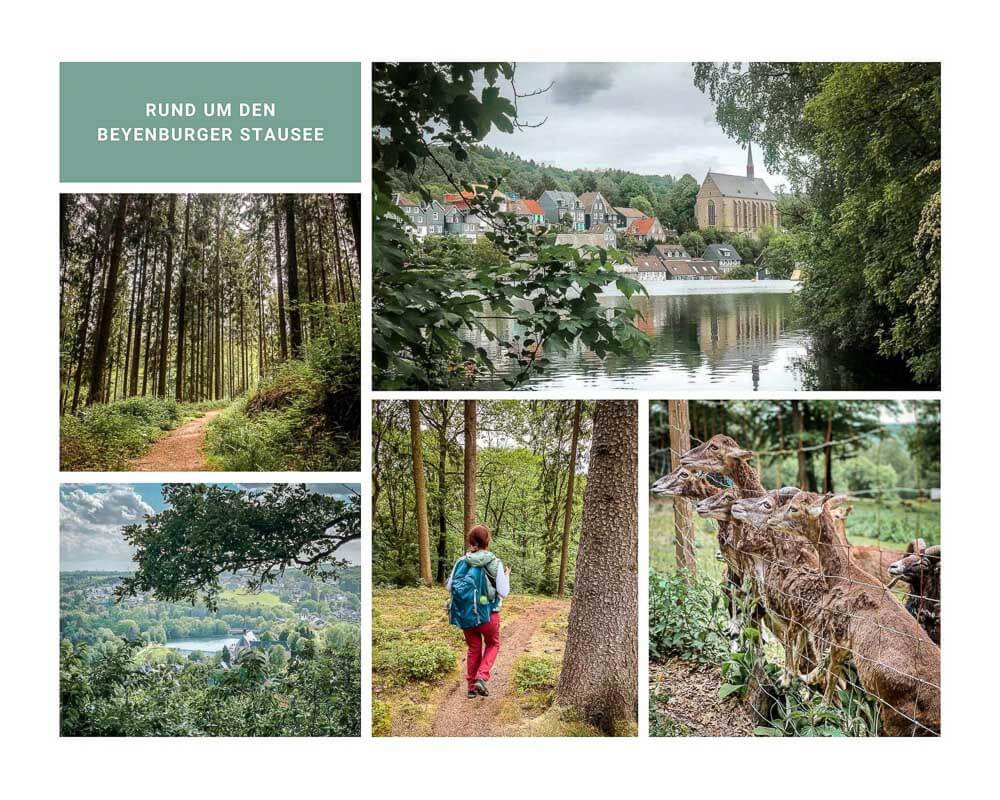Wandern Bergisches Wald Wanderwege um den Beyenburger Stausee in Wuppertal