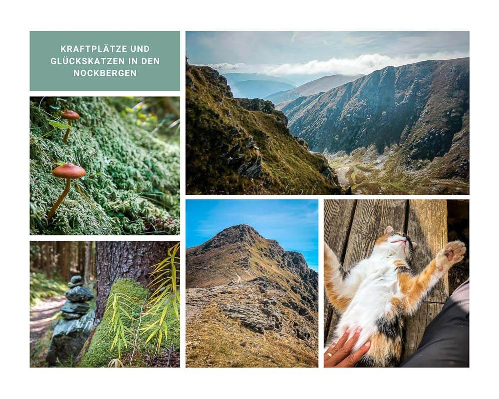 Nockberge wandern am Gro&szlig;en Falkert auf dem Alpe-Adria-Trail