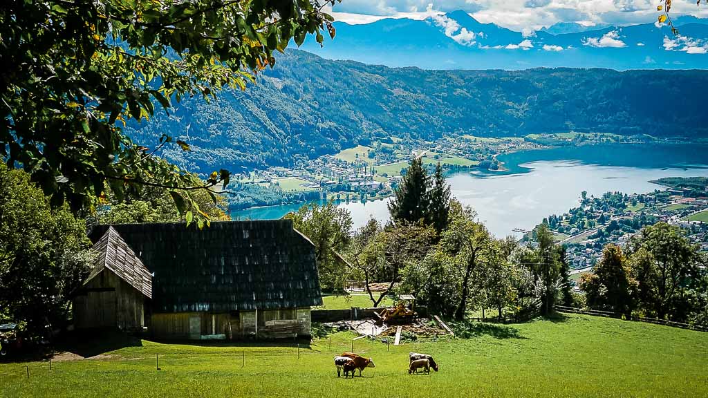 K&auml;rntner Seen - Ossiacher See Bergidylle mit K&uuml;hen