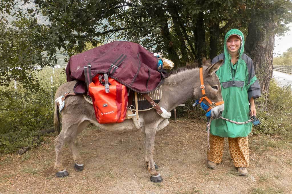 Wandern mit Esel Jonny und Lotta Lubkoll bei Regen