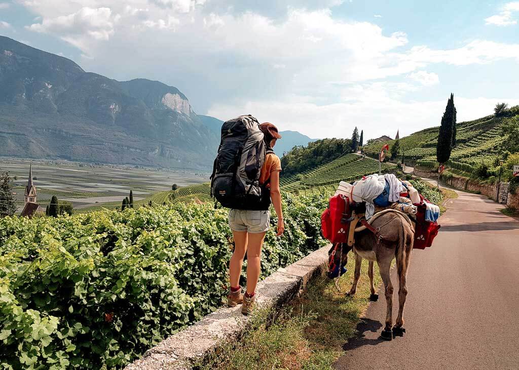 Wandern mit Esel Jonny auf der Via Claudia Augusta in S&uuml;dtirol