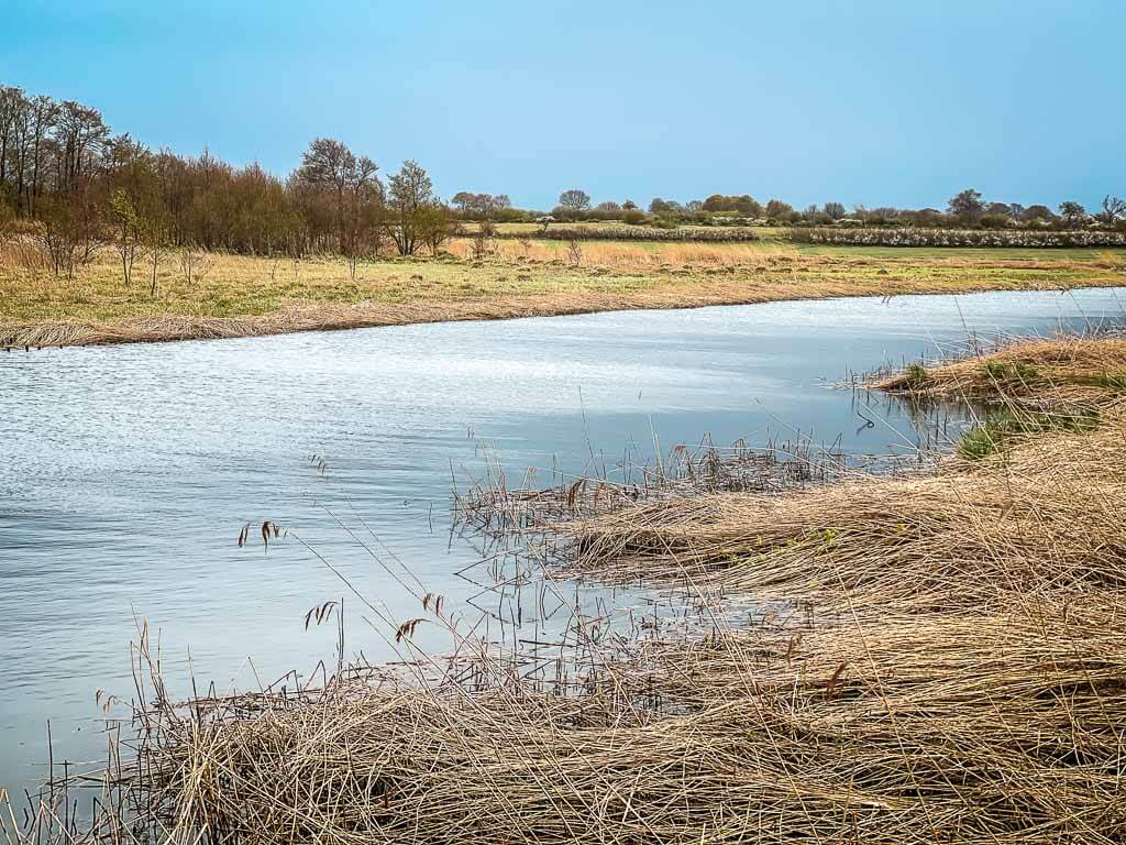 F&uuml;singer Au - M&uuml;ndung in die Schlei