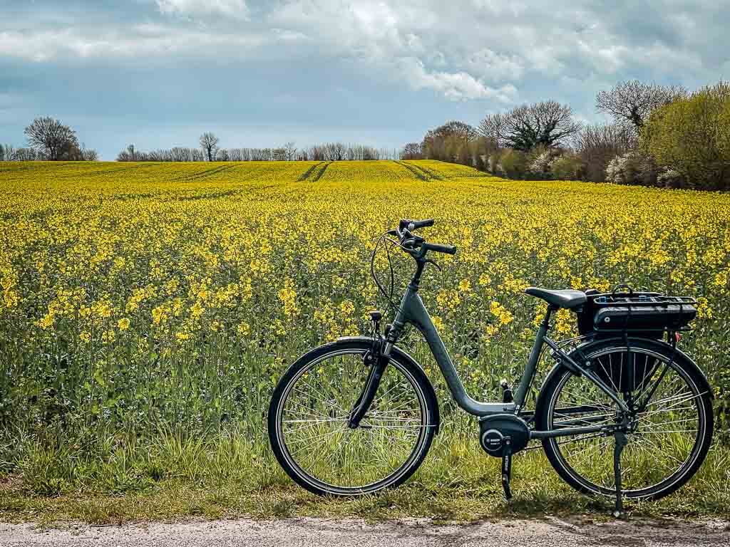 Fahrrad vor Rapsfeld am Ostseefjord Schlei