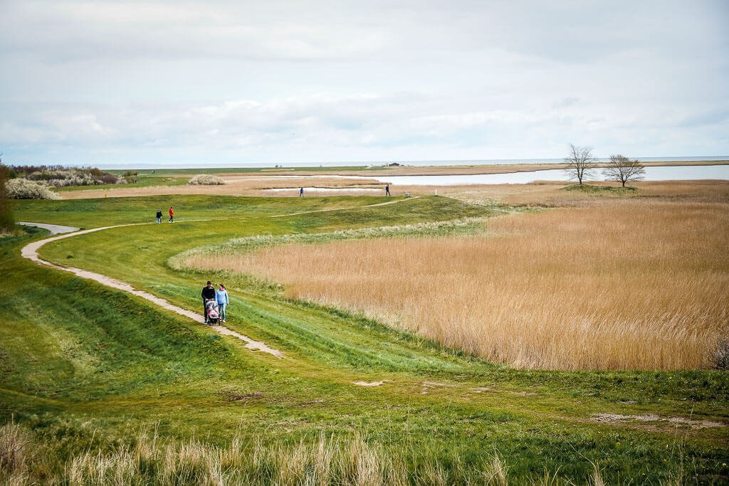 Wanderwege am Ostseefjord Schlei im Naturschutzgebiet Oehe-Schleim&uuml;nde