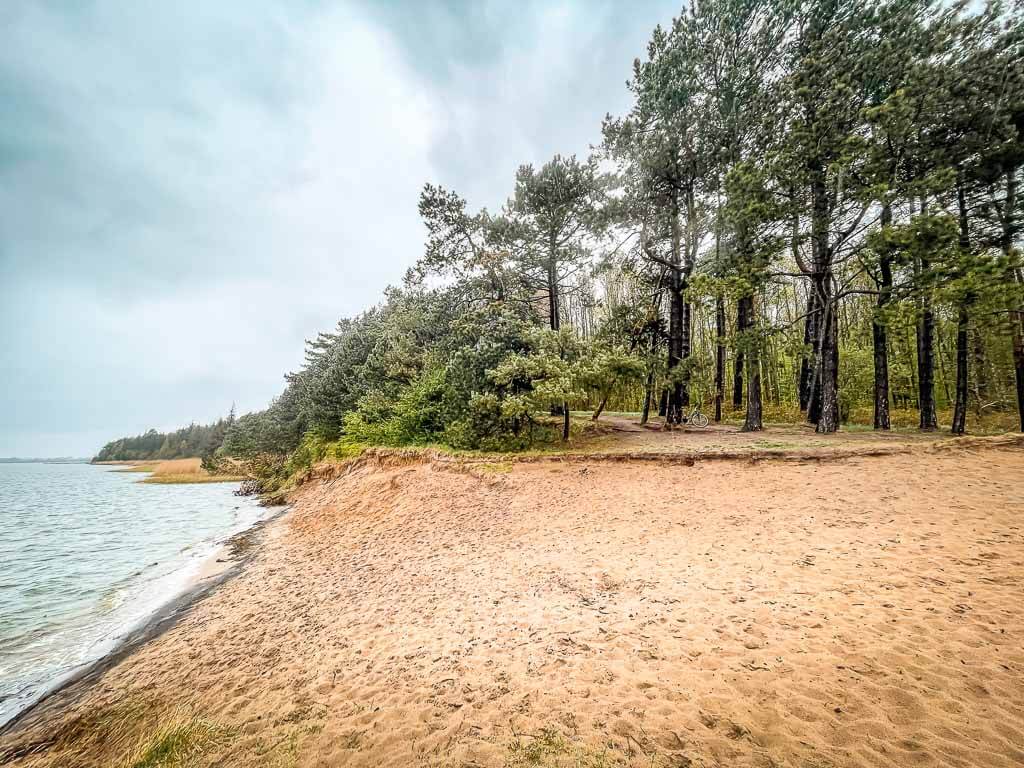 Strand am Ostseefjord Schlei zwischen Missunde und Weseby
