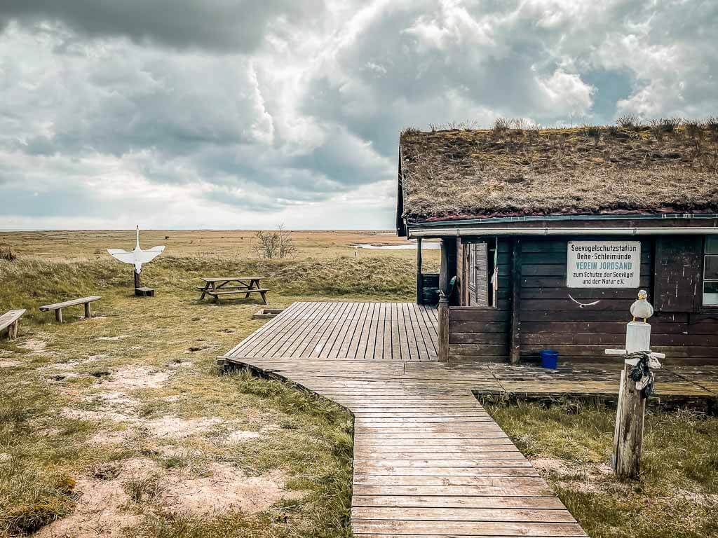 Ostseefjord Schlei - Seevogelschutzstation bei Maasholm
