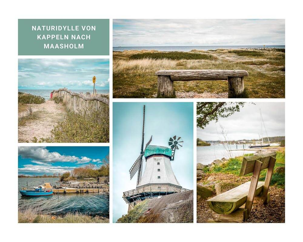 Eindr&uuml;cke der Wanderung von Kappeln nach Maasholm am Ostseefjord Schlei