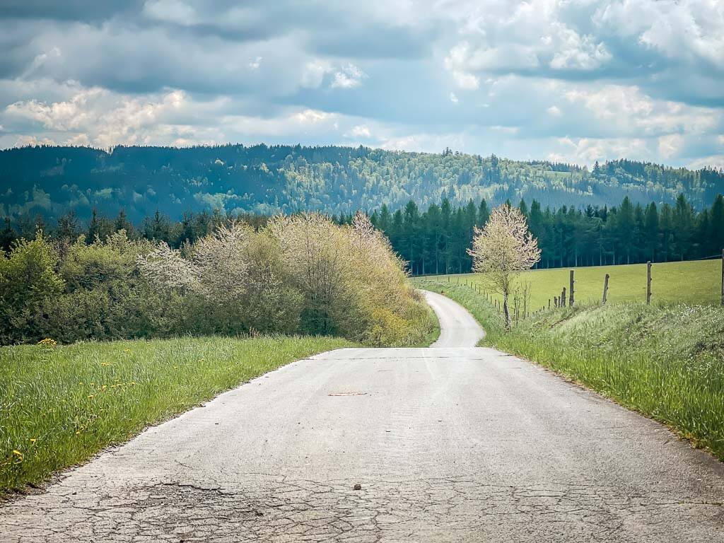 Wanderweg im Frankenwald auf dem Weg zur K&ouml;deltalsperre