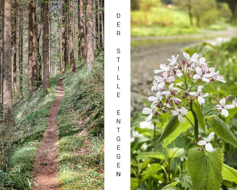 Frankenwald wandern zum Trekkingplatz Leitschtal