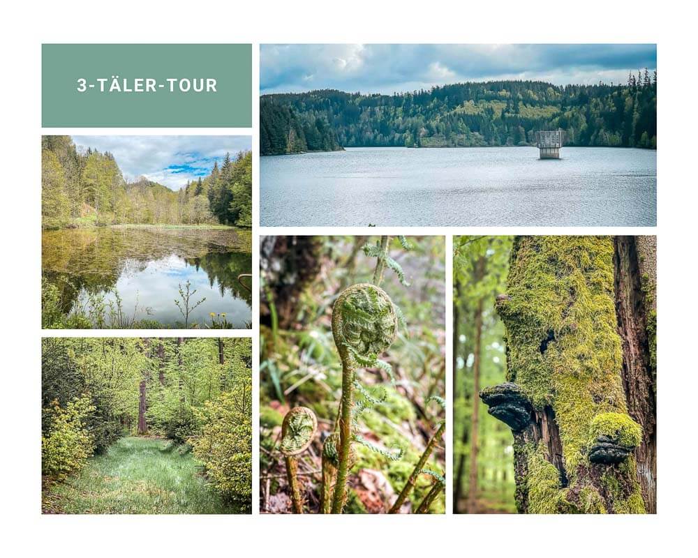 Frankenwald wandern auf der 3 T&auml;ler Tour an der K&ouml;deltalsperre