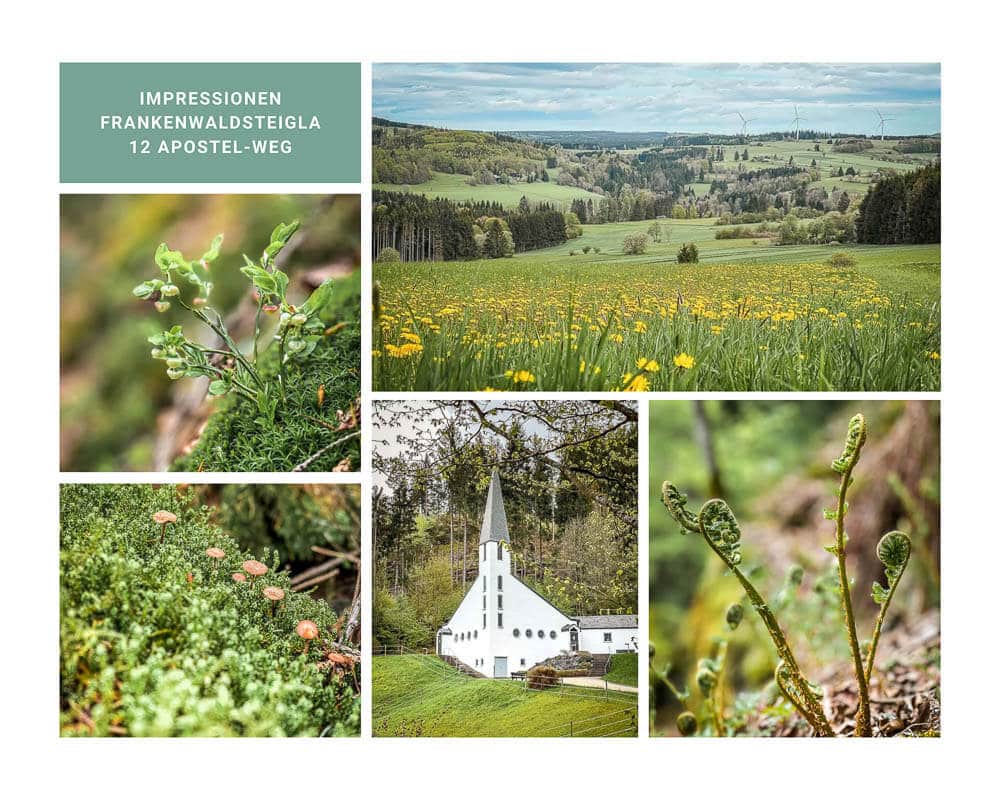 Frankenwald wandern auf dem FrankenwaldSteigla 12 Apostel Weg