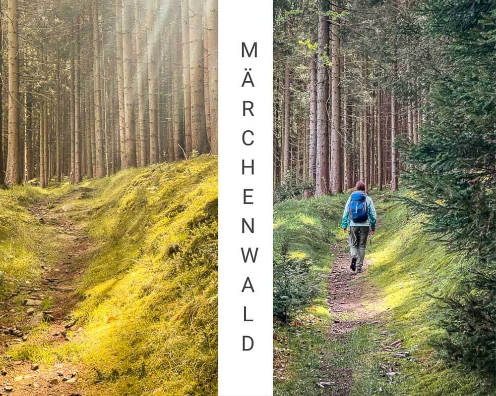 Frankenwald wandern bei Bad Steben auf Waldpfaden