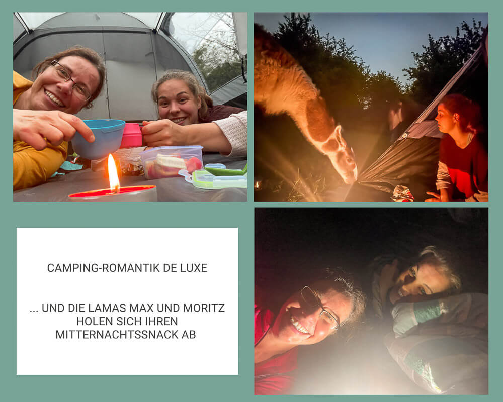 Zelten auf der Alpaka Weide bei Daniels Kleiner Farm mit Couchflucht