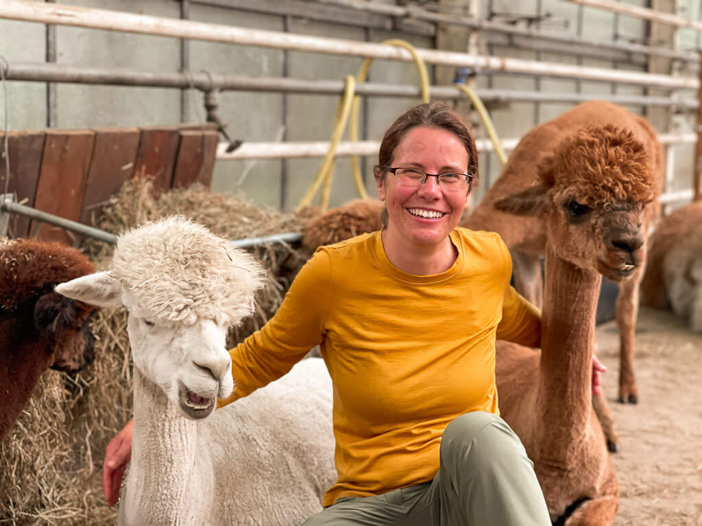 Couchflucht Sabrina Bechtold mit Alpakas im Stall von Daniels Kleiner Farm