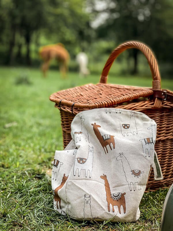 Fr&uuml;hst&uuml;ckskorb beim Zelten auf der Alpaka-Weide auf Daniels Kleiner Farm