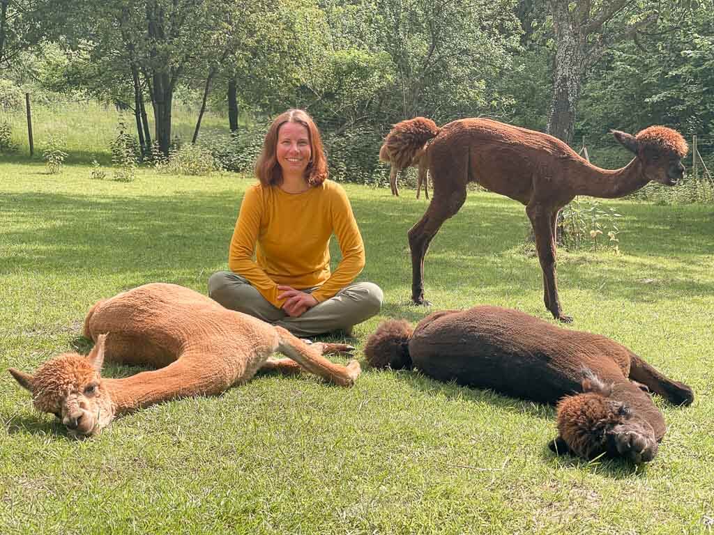 Couchflucht Sabrina Bechtold mit Alpakas auf der Weide von Daniels Kleiner Farm