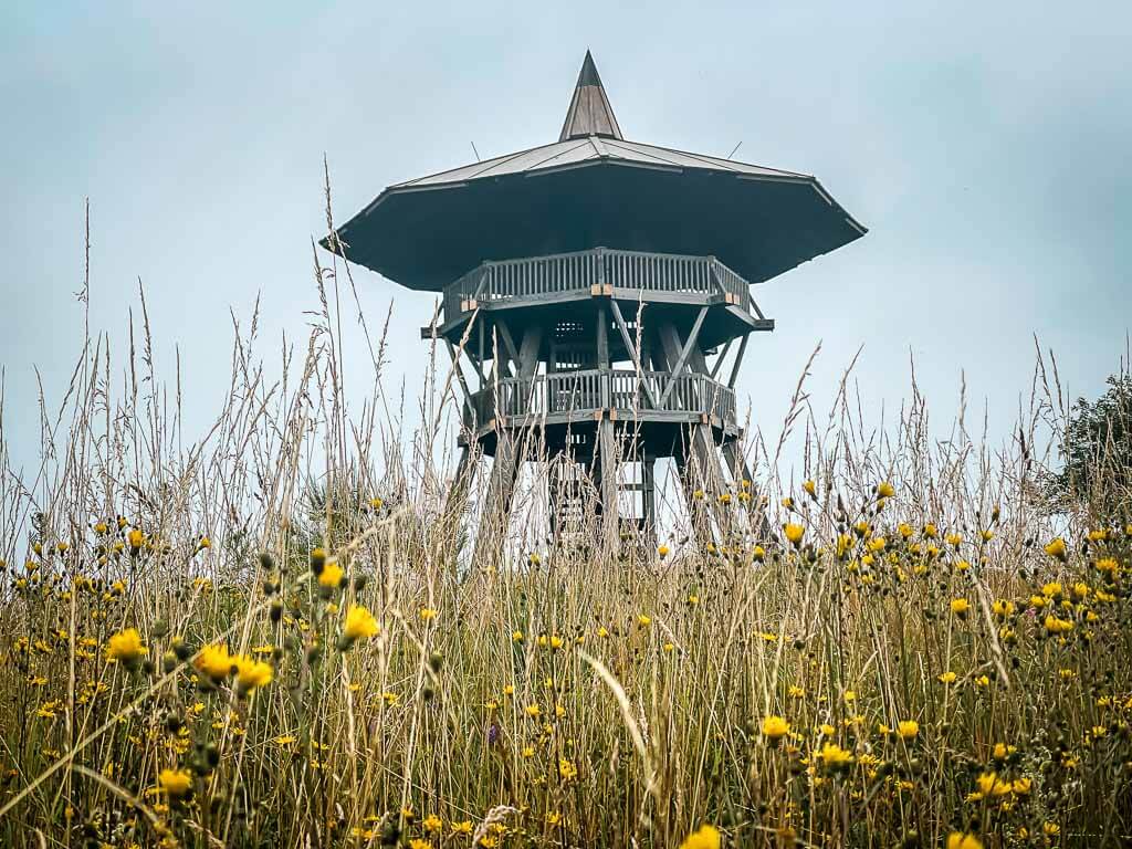 Hermannsh&ouml;hen Eggeturm auf der Preussischen Velmerstot