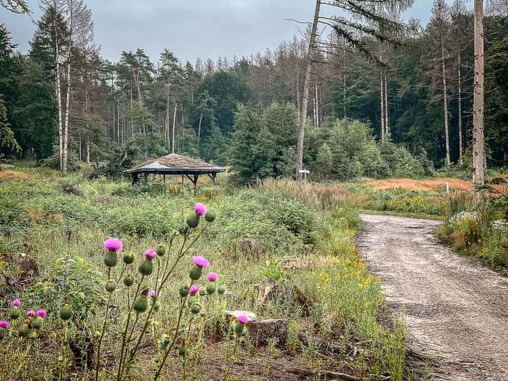 Hermannsh&ouml;hen im Teutoburger Wald - Wanderweg mit Schutzh&uuml;tte