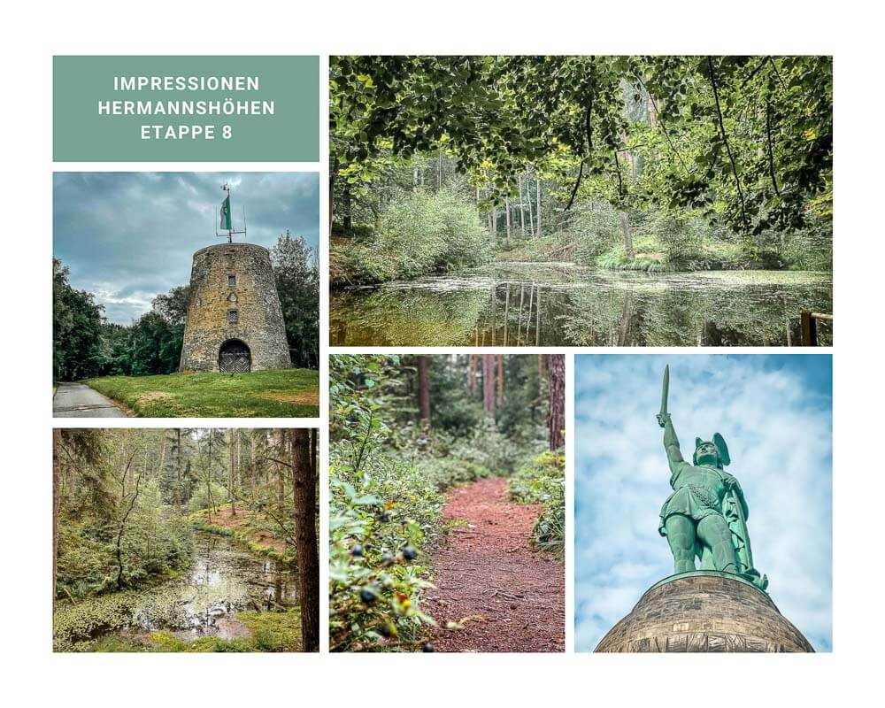 Hermannsh&ouml;hen Etappe 8 Wanderweg mit Krebsteich und Hermannsdenkmal