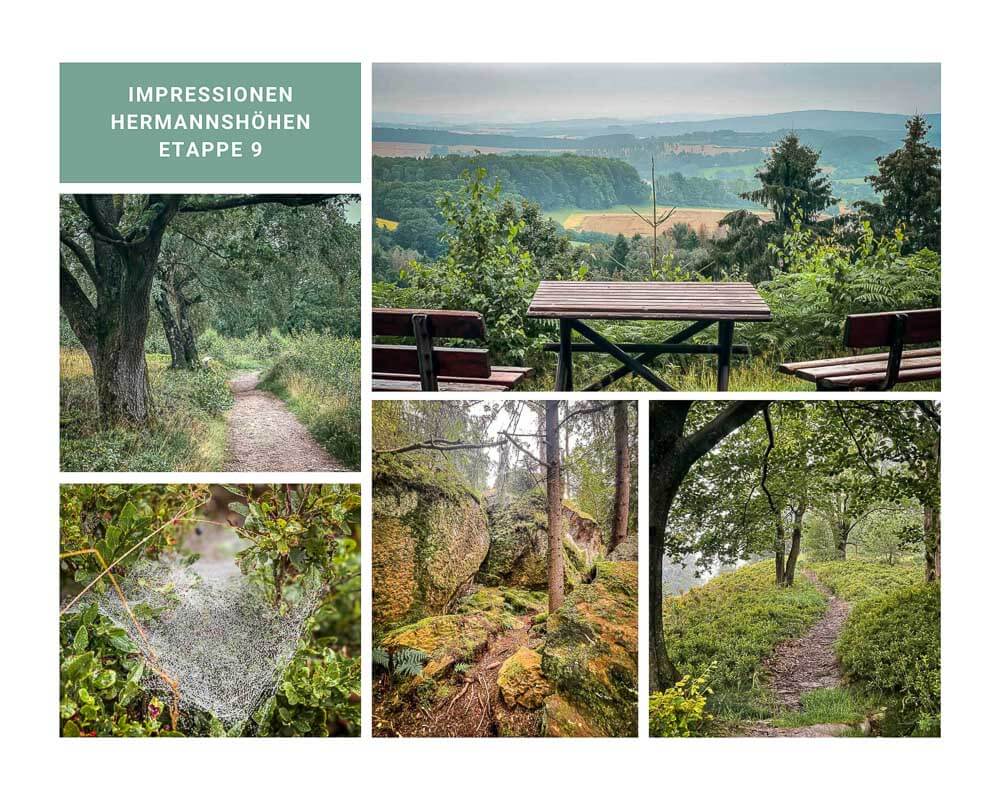 Hermannsh&ouml;hen Etappe 9 - Wanderwege im Teutoburger Wald