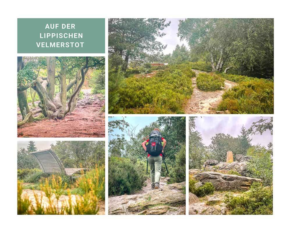 Hermannsh&ouml;hen Wanderung auf den sandigen Pfaden zur Lippischen Velmerstot