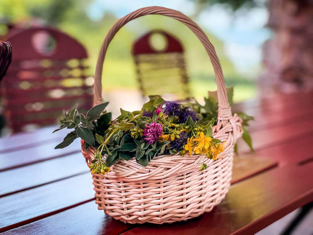 Salzburg Wandern an der Erentrudisalm mit Wildkr&auml;uterwanderung