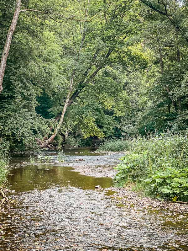 Wandern im Westerwald an der Nister beim Kloster Marienstatt