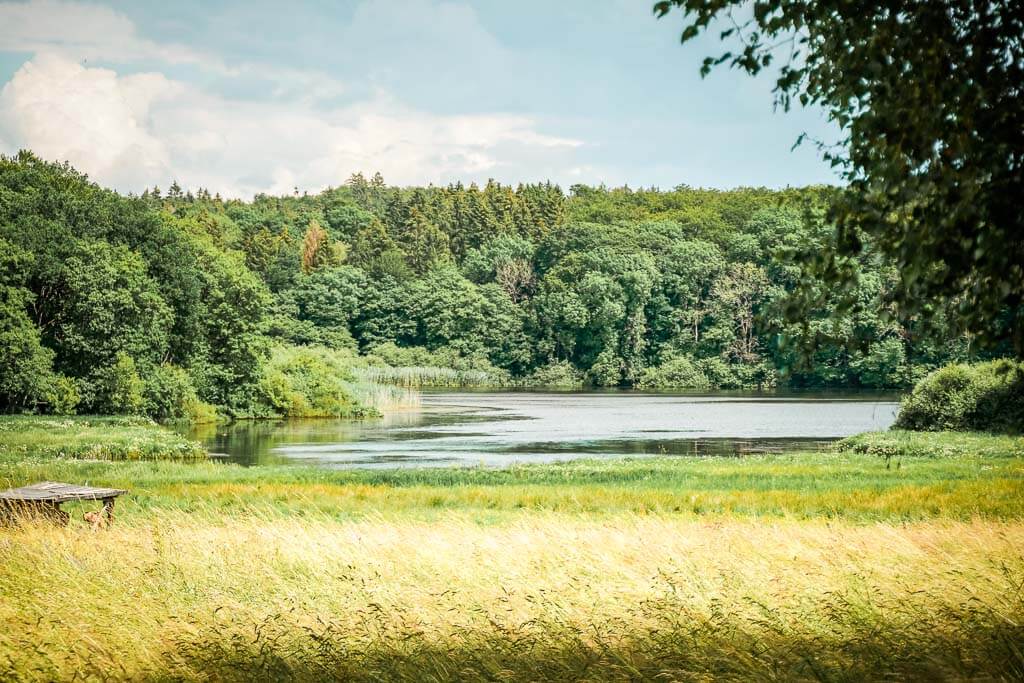 Wandern im Westerwald am Dreifelder Weiher