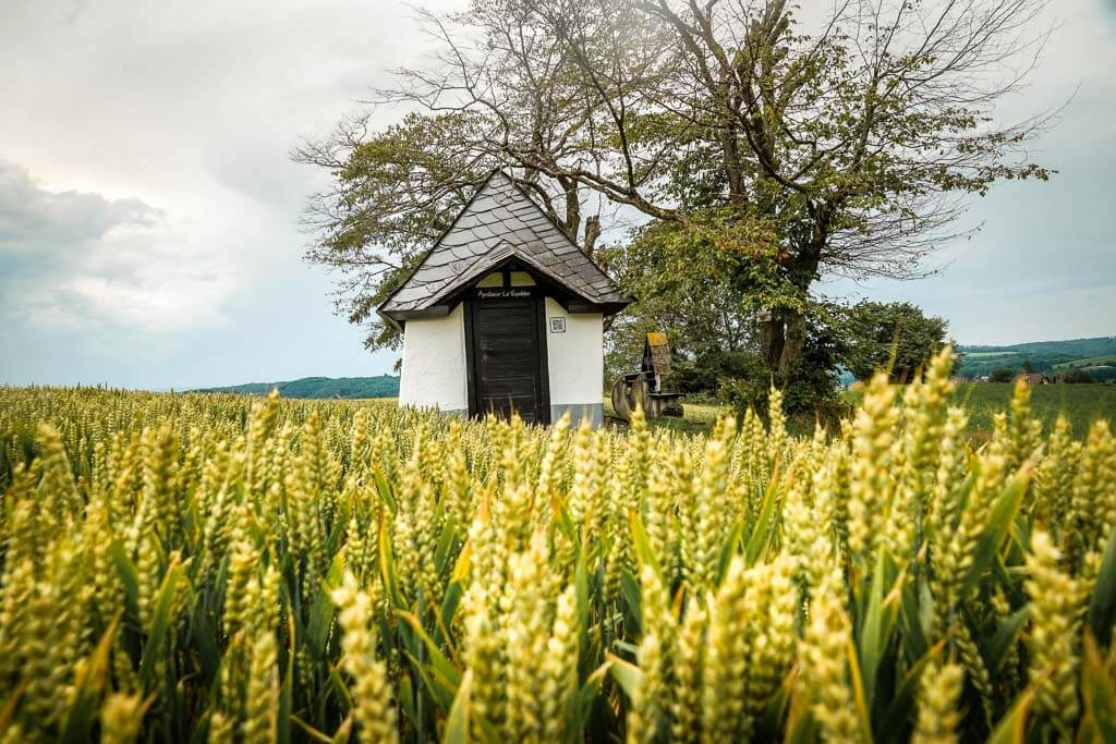 Wandern im Westerwald am Luh Kapellchen auf der W&auml;ller Tour B&auml;renkopp