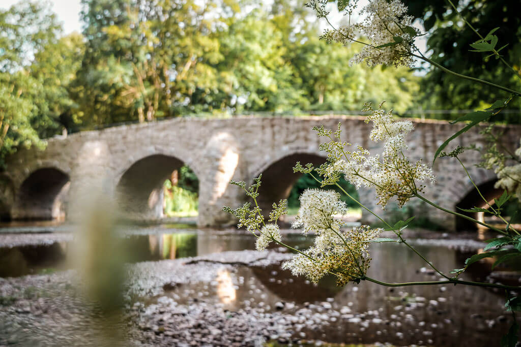 Steinbrücke über die Nister am Kloster Marienstatt