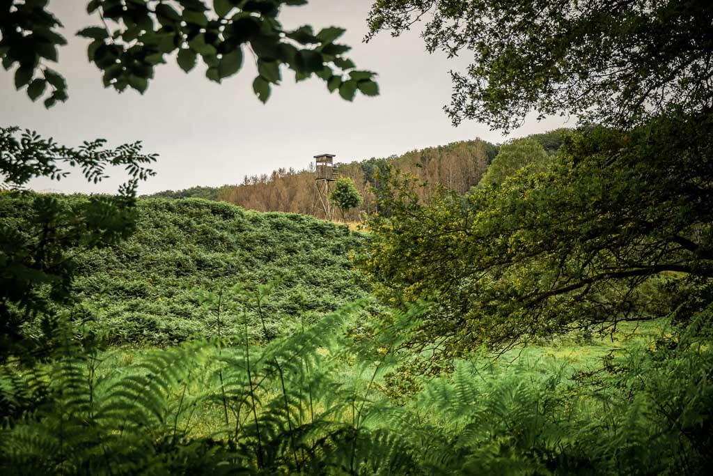 Wandern im Westerwald auf der zehnten Etappe des Westerwaldsteigs