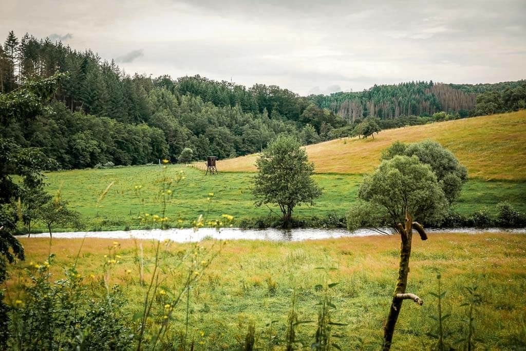 Wandern im Westerwald an der Nister in der Kroppacher Schweiz