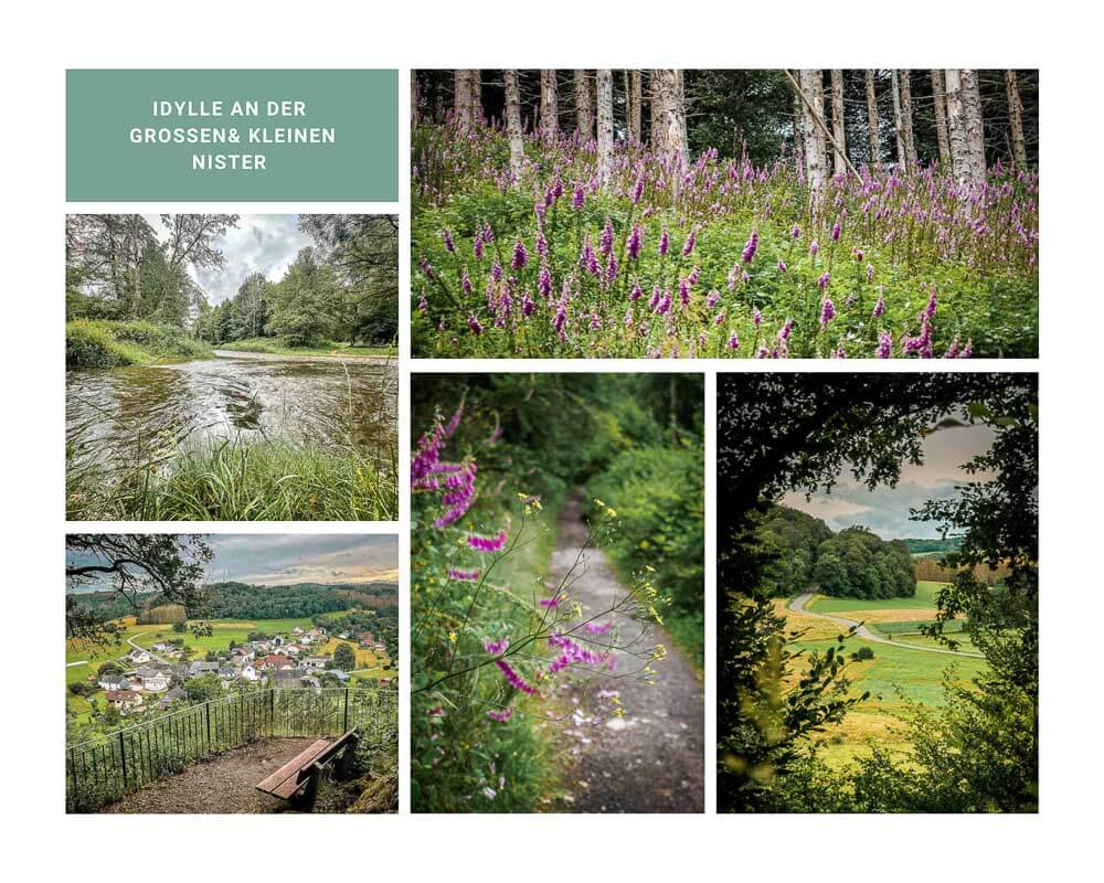 Wandern im Westerwald an der Nister auf dem Westerwaldsteig