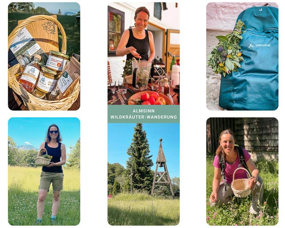 Salzburg wandern bei Elsbethen mit Sammeln von Wildkr&auml;utern