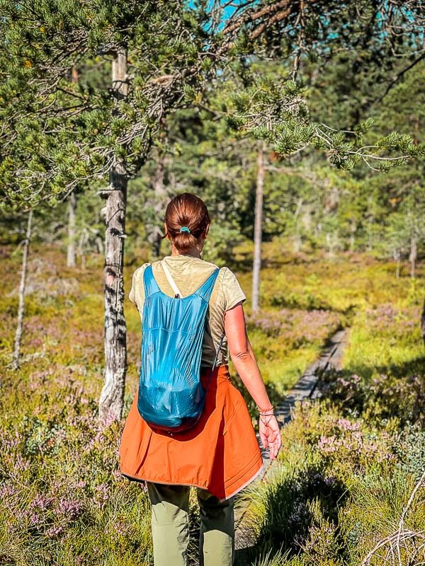 Couchflucht mit ultraleichtem Daypack von Sea to Summit in Schweden