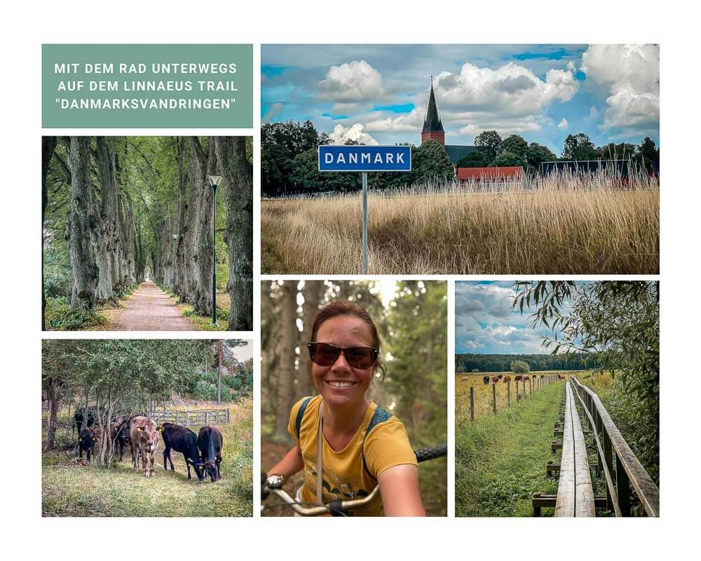 Radtour auf dem Linnaeus Trail Danmarksvandringen in Uppsala mit Couchflucht
