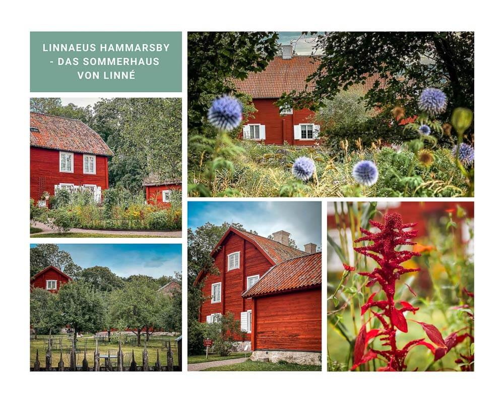 Linnaeus Hammarsby mit Garten in Uppsala