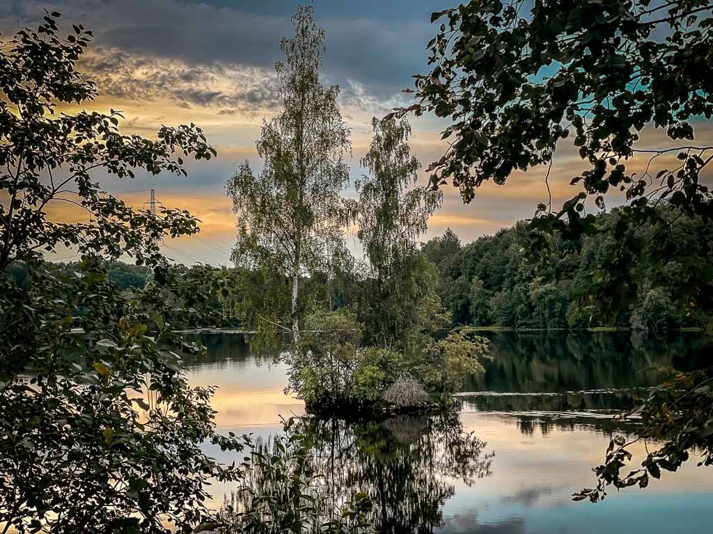 Dalarna - Naturschutzgebiet Älravinerna in Borlänge