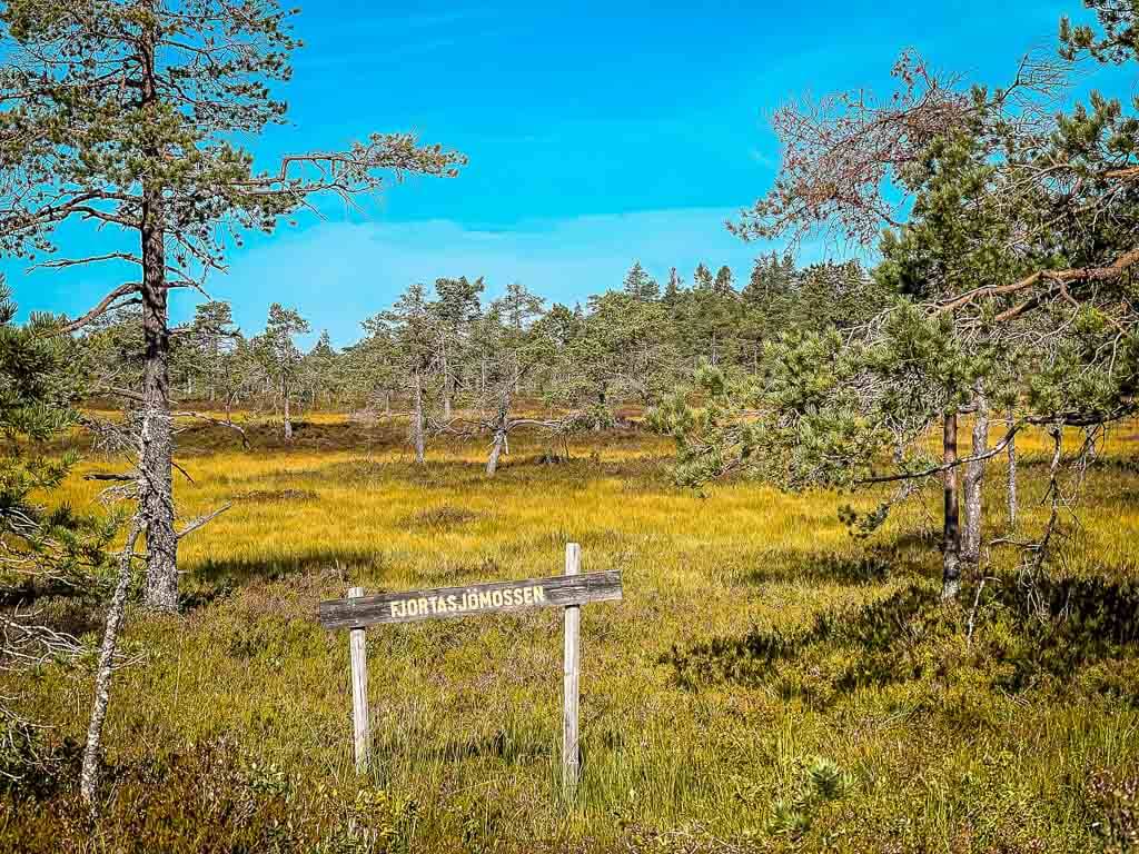 Dalarna - Wandern am Fjortasj&ouml;mossen im Gyllbergen Naturreservat bei Borl&auml;nge